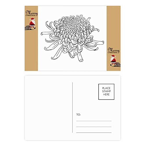 Cartes de remerciement fleur de chrysanthème pour correspondance et papeterie - Lot de 20