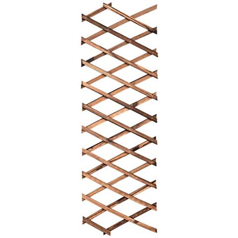 Gartengitter Expandable Plant Climbing Lattice Trellis Zaun Unterstützung Cover
