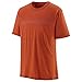 Produktbild Patagonia Men's Capilene® Cool Merino Graphic Shirt Fitz Roy Fader: Sandhill Rust (46)