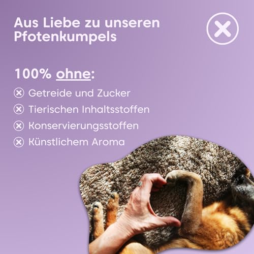 pfotenkumpels Seelenyoga | Beruhigungs-Snacks für Hunde I Mit Baldrian & Johanneskraut I Pflanzliches Beruhigungsmittel bei Angst, Stress & Silvester