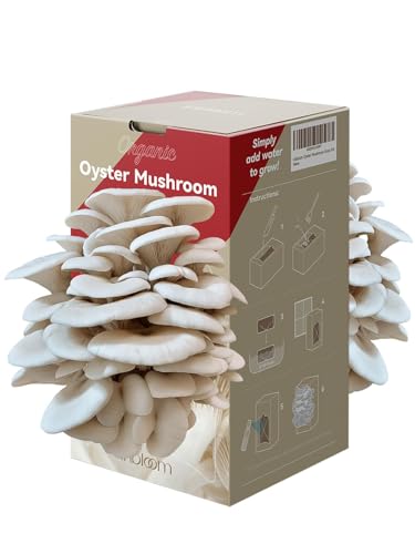 inbloom Organic Oyster Mushroom Growing Kit with Spray, Harvest Fresh