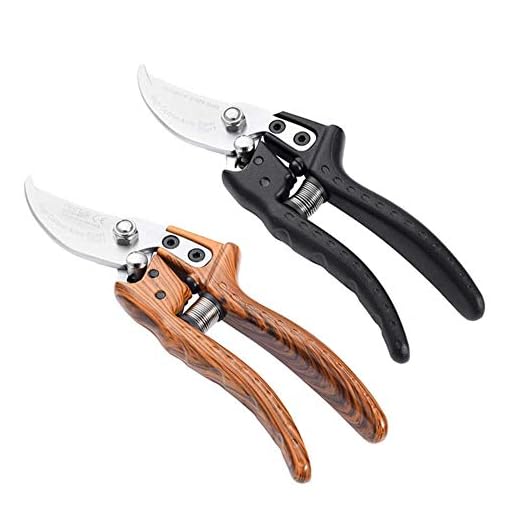 High-Carbon Steel Pruning Shears