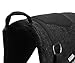 Majestic Ally Solid Bareback Pad Sued Padded Sheet with Girth & Stirrups (Black)