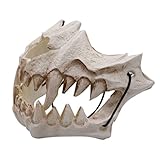 Zoom IMG-1 xueyegongji maschera scheletro di halloween Zoom IMG-1 xueyegongji maschera scheletro di halloween