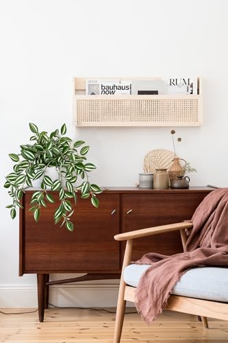 Briful Plantas falsas de seda artificial em vaso de plantas artificiais de melancia, peperomia, vide