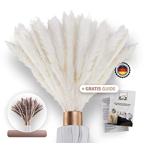 Leisure Life® | 8x pampasgras groot 113 cm | natuurlijke paarse XXL droogbloemen als blikvanger in je woning | super luchtige bloemen | incl. decoratiegids