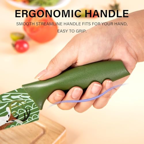 Image of Knife Set for Kitchen Professional 3 Pieces High Carbon Stainless Steel Colour Printed Coated Chef Knife I Utility Knife I Kitchen Knives with Ergonomic (Green)