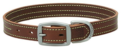 Terrain D.O.G. Bridle Leather Dog Collar