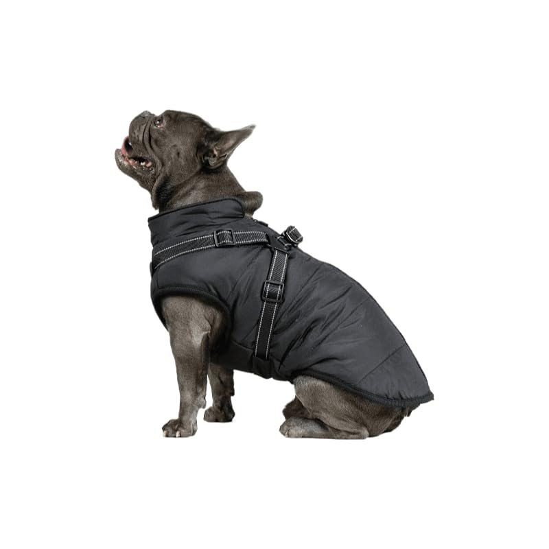 DoggyKings™ 3 in 1 Jacket (This Size Fits Small and Medium-sized Dogs, Such As Staffordshire Bull Terriers; Sizes Run Small and May Not Fit Large Dogs)
