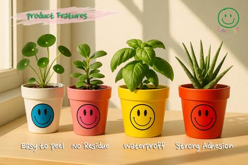 Consejos para Comprar Lacost . 29 Imagen adicional