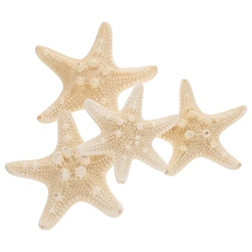 Amosfun 4pcs Coquilles d'Étoiles de Mer Naturelles pour Thème Nautique Décorations de Mariage Fête d'anniversaire (5-8cm)