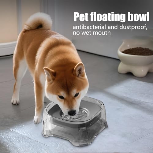 Gamelle d'eau anti-déversement pour chien et chat de taille moyenne