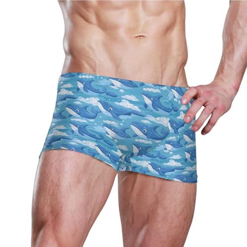 Dolphins Animal Mens Swim Trunk Swimwear Bathing Suit Swim Brief Square Leg Board Short S B04035513