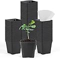 June Fox Square Nursery Pots 3.3 Inches Flexible Plastic Seedling Pots Square Pots for Plants, Succulent, Flower, Pack of 60, with 60 PCS Plant Labels