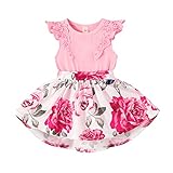 Newborn Infant Baby Girls Floral Dress Flutter Lace Sleeve Skirts Ruffle Dresses Summer Outfits (Pin