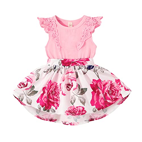 Newborn Infant Baby Girls Floral Dress Flutter Lace Sleeve Skirts Ruffle Dresses Summer Outfits (Pink B, 12-18 Months) #TOP4