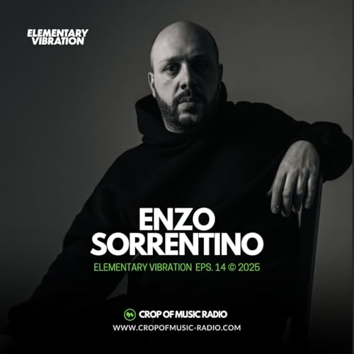 Elementary Vibrations 014 - Enzo Sorrentino