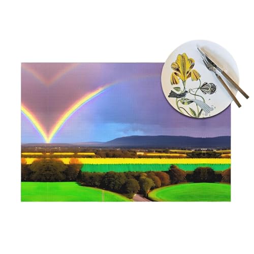 Sets de table 30x46 cm imprimés arc-en-ciel et linge de table rectangulaire de cuisine - 5