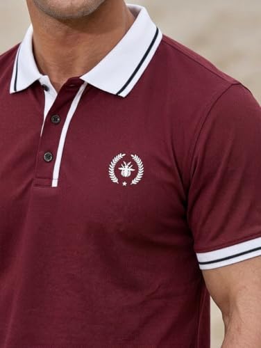 Image of JVX Men Polo T Shirt || Polo T Shirt for Men || Reguler Fit Tshirt for Man || Coller T-Shirt (Available in Plus Size, Also Available in Combo Packs) (MRT-222)