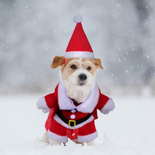 Disfraz de perro Santa Claus XL para invierno miniatura 7