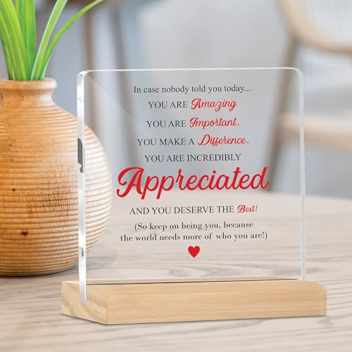 Image of Giftplease Mentor Plaque with Wooden Stand Personalized Gift for Mentor, Coach, Teacher, Appreciation Keepsake, Clear Desk Decor, Inspirational Thank You Gift, Office Table Display MP 73