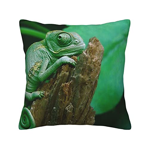 Radda Green Lizard Print Throw Pillow Covers,Decorative Soft Corduroy Cushion Covers For Living Room Bedroom Couch Bed Sofa #TOP29