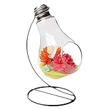 Material: de vidrio. Outflower Jarrón de Bulbo florero de la Bombilla Decoración del hogar Floreros