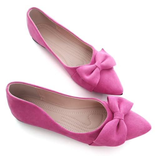 SAILING LU Ballet Flats for Womens Shoes Pointy Toe Cozy Flat Shoes Suede Comfortable Dressy Shoes Wear to Work Slip-on Moccasins2