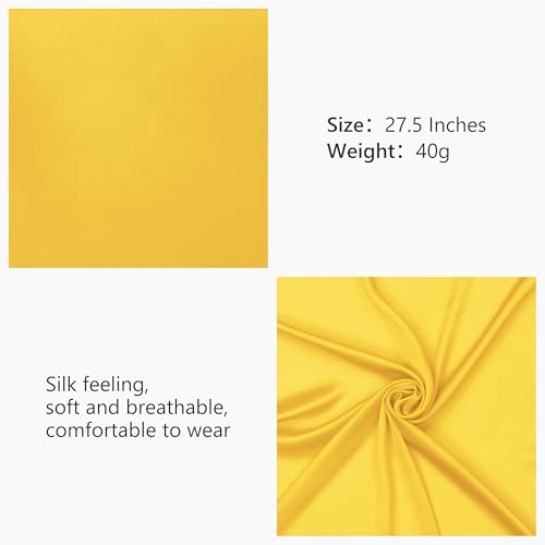 HBselect Chiffon Scarf Square Neck Head Scarf Satin Ribbon Scarf Handkerchief for Women Girls Retro Costume 27.5"2