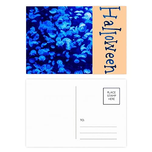 Cartes postales d'Halloween méduses Blue Science Nature par lot de 20