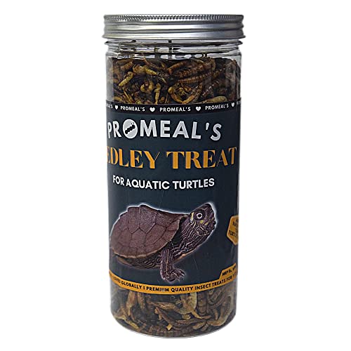 Image of Insect Medley Treat for Turtle and Tortoise - Nutritious Dried Mealworms, Superworms, Crickets & More - Natural, Protein-Rich Food Mix (150gm)