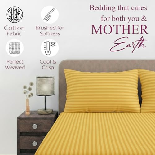 Image of Trance Home Linen 100% Cotton 200 TC Satin Stripe Queen Double Bedsheet with 2 Pillow Cover | Fade-Resistant, Soft & Hypoallergenic |Flat Bedspread Queen Size (86 x 104 inch, Golden Yellow)