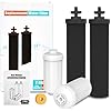 Berkey Gravity Water Filter Replacement, 2 Black Carbon Filters & 2 White Fluoride Filters, Compatible with Berkey Purifiers, Pack of 4