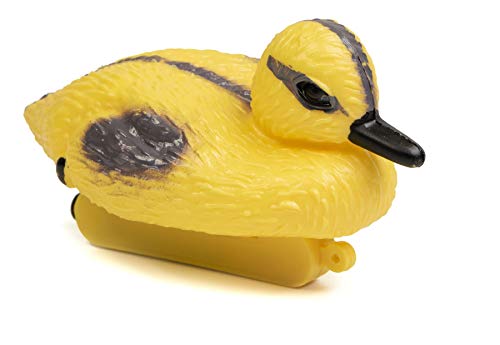 Mgc24 Caneton « Paula » Cover