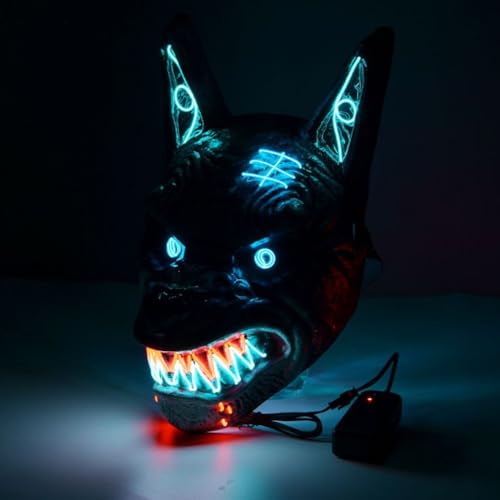 Photo complémentaire