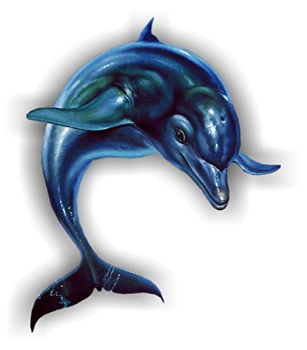 Akachafactory Autocollant Sticker Voiture Moto Biker Dauphin Dolphin oceaun Plongee