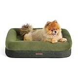 Lesure Memory Foam Dog Bed - Orthopedic, Washable for Small Dogs, CertiPUR-US Certified Foam, Bolster Pet Bed with Removable Washable Cover and Waterproof Lining, Green