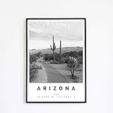 Arizona Print Black And White Photo, Arizona Wall Art, Travel Poster Photo Print Decor Desert Nature Poster Travel,31