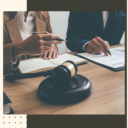 Federal Appeal Lawyers: Expert Insights with Brownstone Law cover art