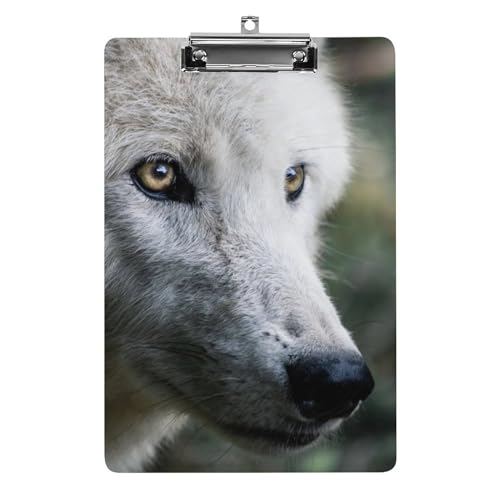 Planchette à pince Loup Blanc A4 rigide avec attache puissante