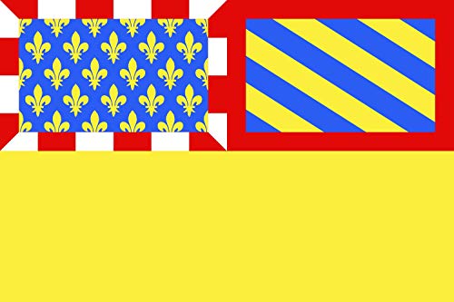 Drapeau Côte-d'Or XL coutures renforcées et couleurs haute définition - 2