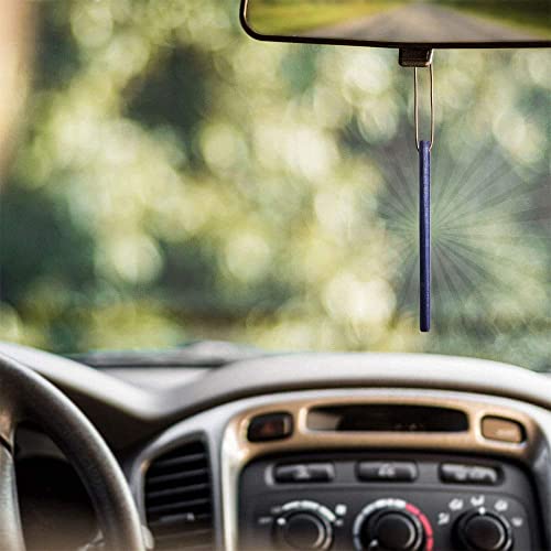 Enviroscents Auto Sticks Natural Car Air Fresheners, 3-Pack With 6 Sticks (Passion Fruit) #TOP1