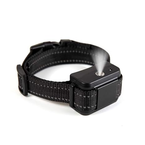 wellturn dog collar