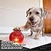 Pet Qwerks Blinky Babble Ball - Flashing Interactive Chew Dog Toy - Small