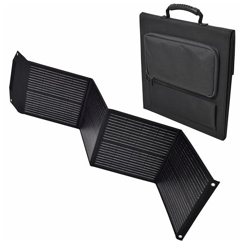 �����H�� �s���o���p�\�[���[�p�l��100W LPE-SO100