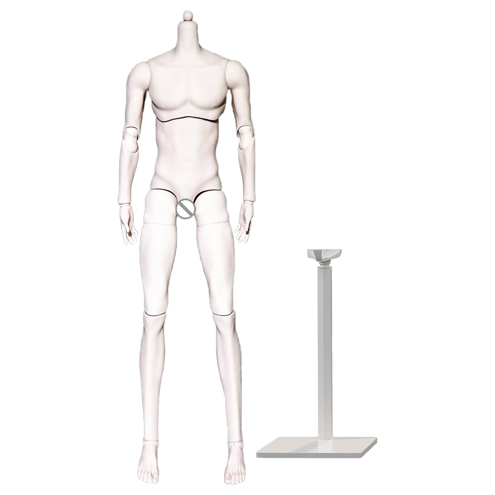 niannyyhouse BJD Doll Customized Body, Ball Jointed Dolls, 1/3 1/4 1/6 Scale Movable Joints Collectible, Female Male, No Head (White, 1/4 BJD Male)