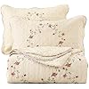 vctops 3-Piece Floral Embroidered Bedspread Coverlet Set King Size 100% Cotton Reversible Patchwork 1 Quilt and 2 Pillow Shams (Flower,King)