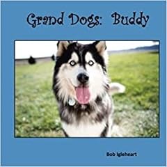 Couverture de Buddy