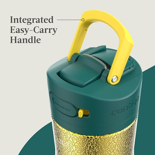 Image of Contigo Ashland Chill Stainless Steel Water Bottle with Leakproof Lid & Straw, Water Bottle with Handle Keeps Drinks Cold for 24hrs & Hot for 6hrs, Great for Travel, School, Work, & More, 24oz