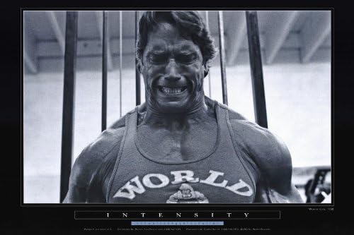 Pumping Iron Poster C 24x36 Arnold Schwarzenegger Lou Ferrigno Roger Callard